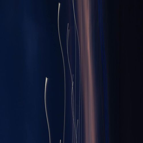 Abstract visual of a human silhouette showing energy flow lines.